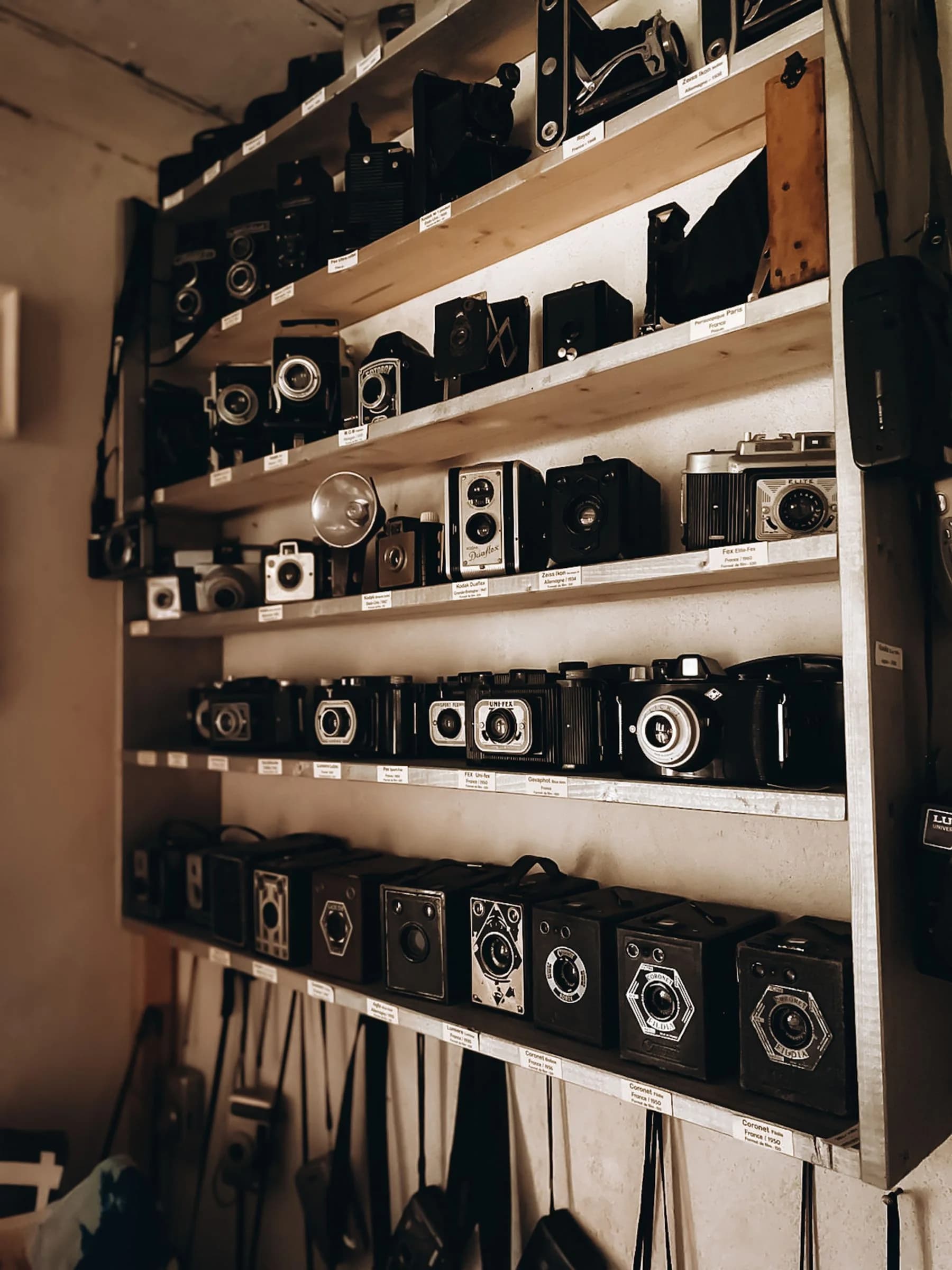 Several cameras arranged on a real collection shelf